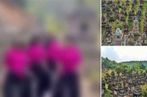 Dân tình phẫn nộ trước hình ảnh 4 cô gái chạy đến nơi yên nghỉ của hơn 1000 vị cao tăng chùa Bổ Đà uốn éo nhảy top top