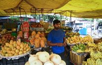 ‘Vua trái cây’ Ấn Độ bị bức tử
