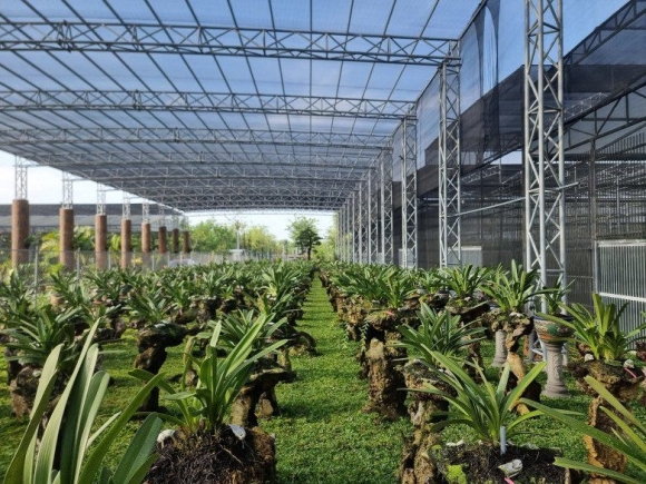 Choáng ngợp với biệt phủ 'khủng' của các đại gia Việt: Chi 2 tỷ đồng/tháng thuê người làm, có căn làm từ 4.000 cây dừa - 3